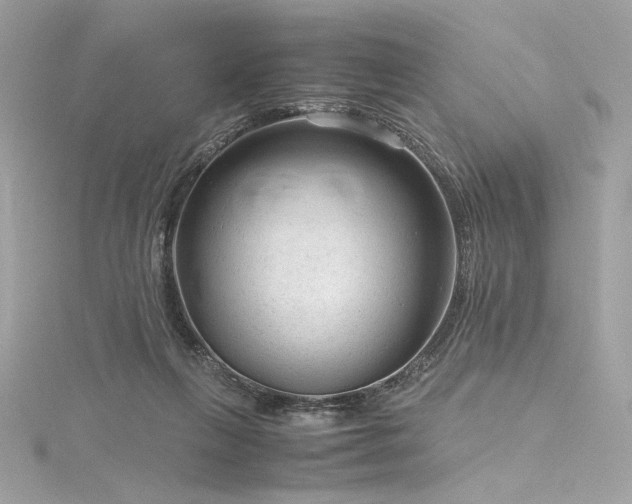 X0000116310263200911301509