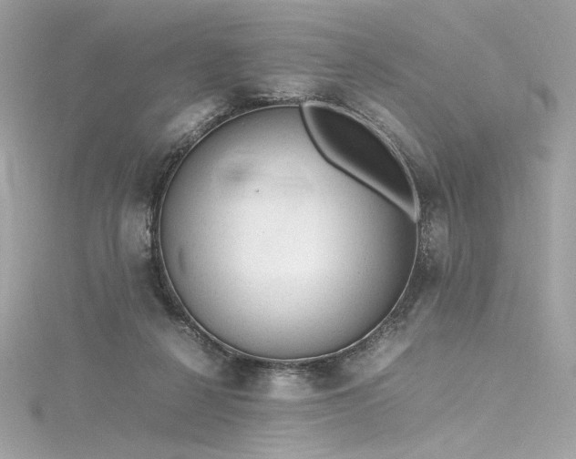 X0000116310264200911301509