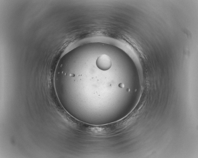 X0000116310265200911301509