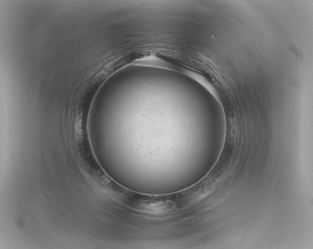 X0000116310267200911301509