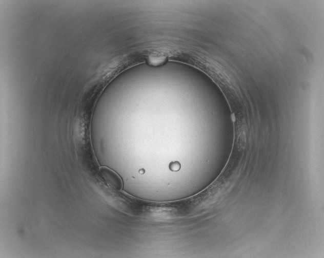 X0000116310268200911301509