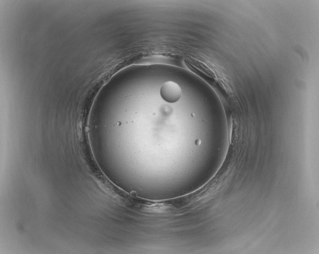 X0000116310269200911301509