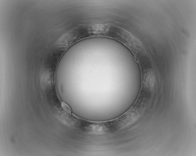 X0000116310272200911301509