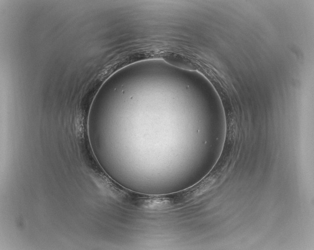 X0000116310274200911301509