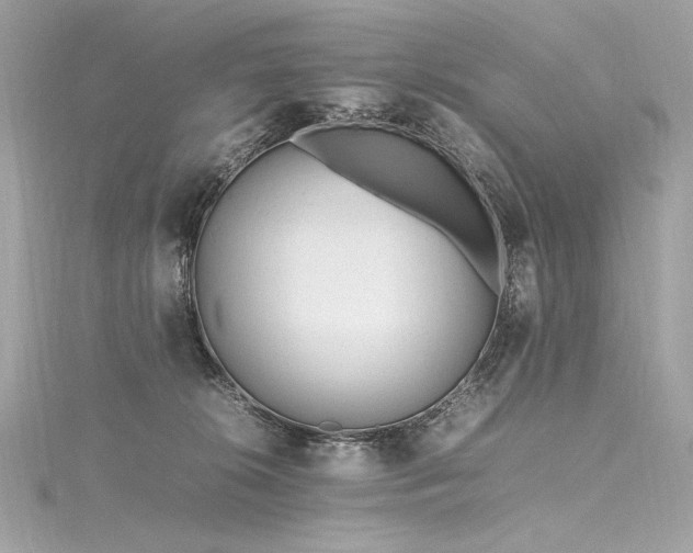 X0000116310276200911301509