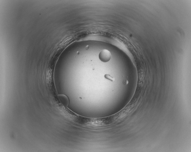 X0000116310278200911301509