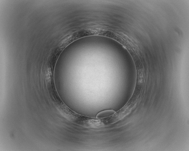 X0000116310279200911301509