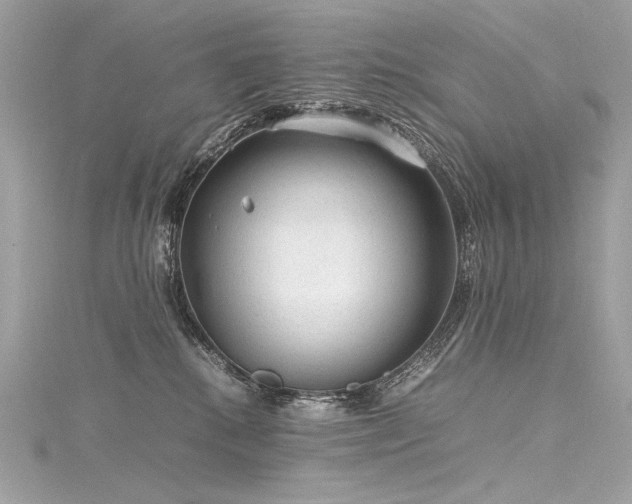 X0000116310280200911301509