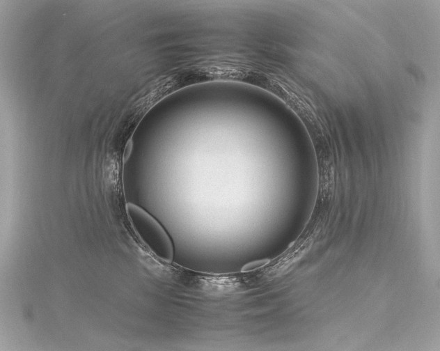 X0000116310281200911301509