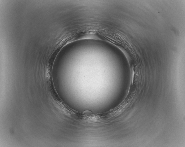 X0000116310282200911301509