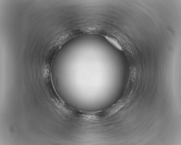 X0000116310284200911301509