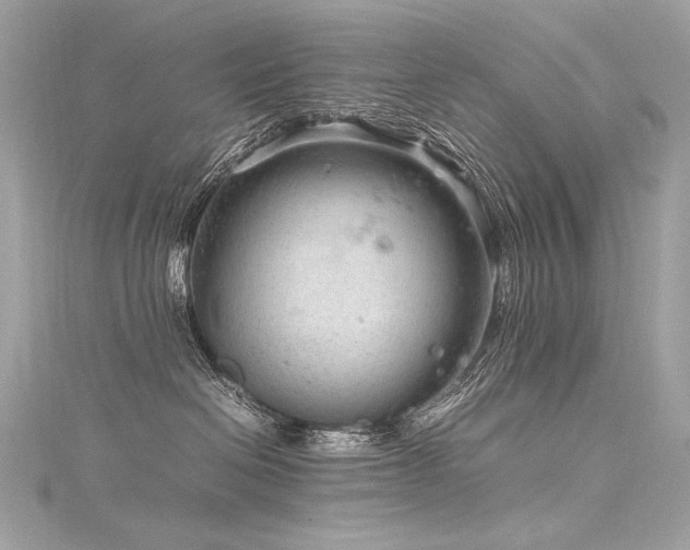 X0000116310286200911301509