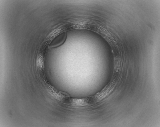 X0000116310287200911301509