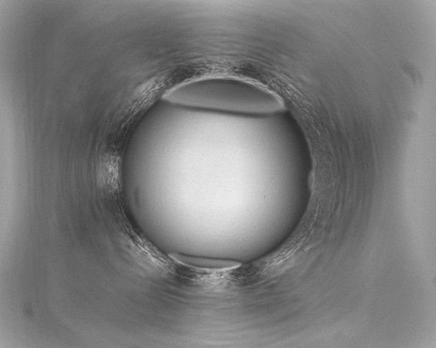 X0000116310288200911301509