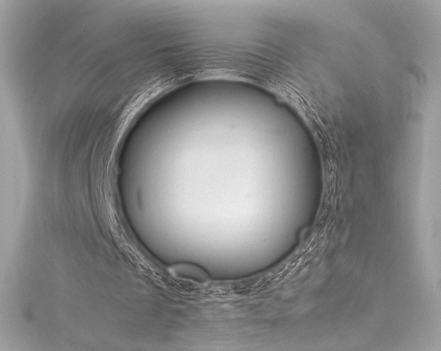 X0000116310289200911301509