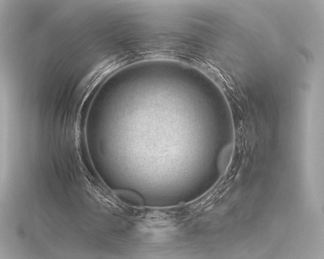 X0000116310290200911301509