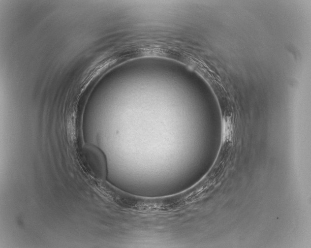 X0000116310291200911301509