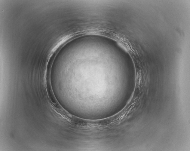 X0000116310292200911301509