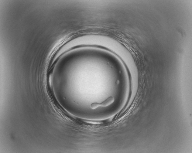 X0000116310293200911301509