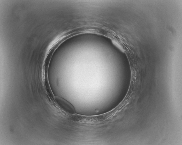 X0000116310294200911301509