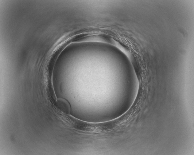 X0000116310295200911301509