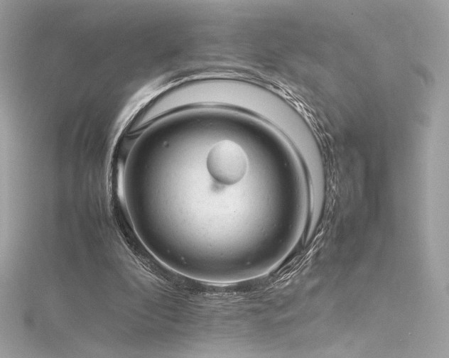 X0000116310296200911301509