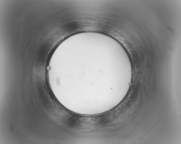 X0000116310297200911301509