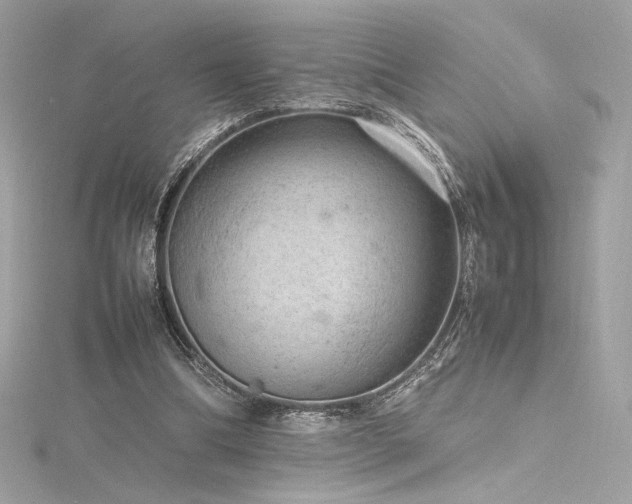 X0000116310298200911301509