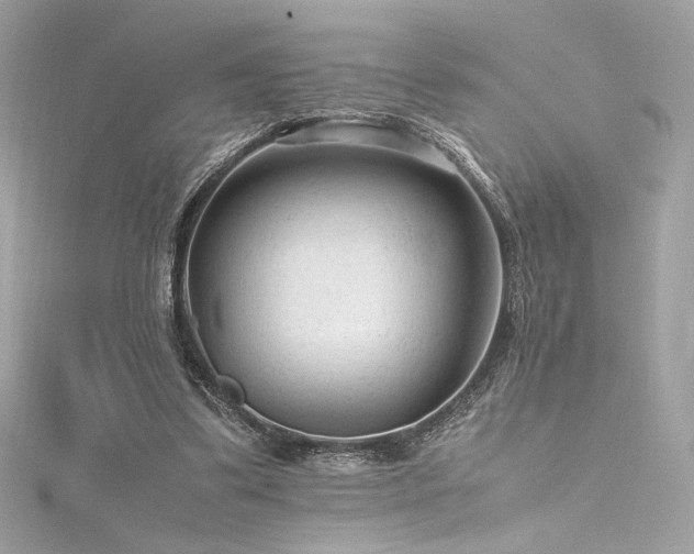 X0000116310299200911301509