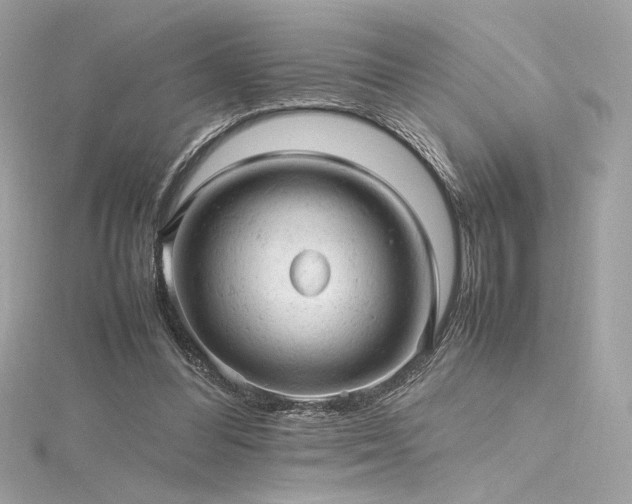 X0000116310300200911301509