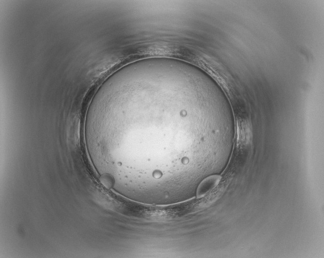 X0000116310301200911301508