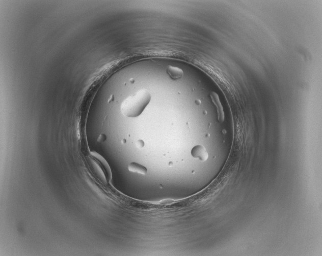 X0000116310302200911301508