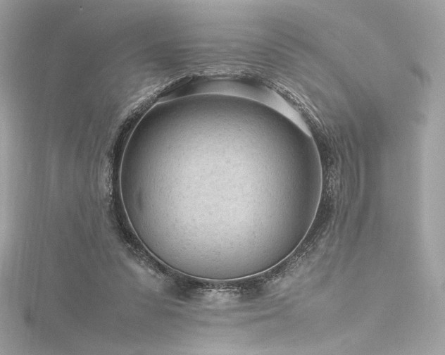 X0000116310303200911301508