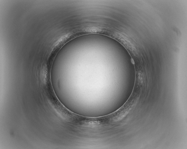 X0000116310304200911301508