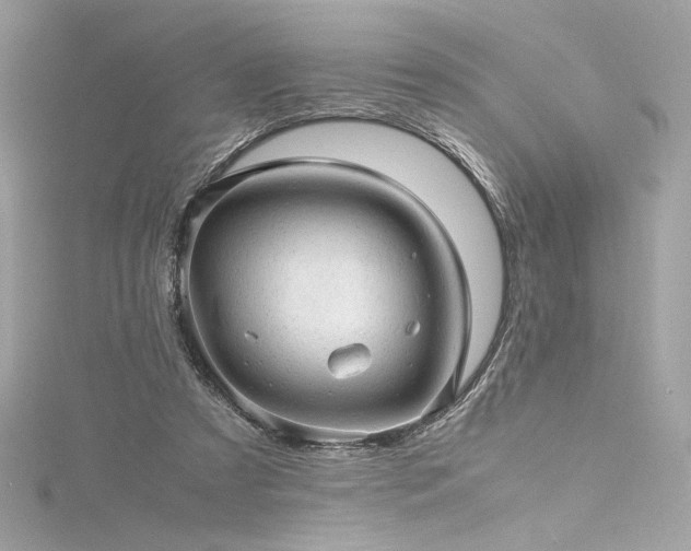 X0000116310305200911301508