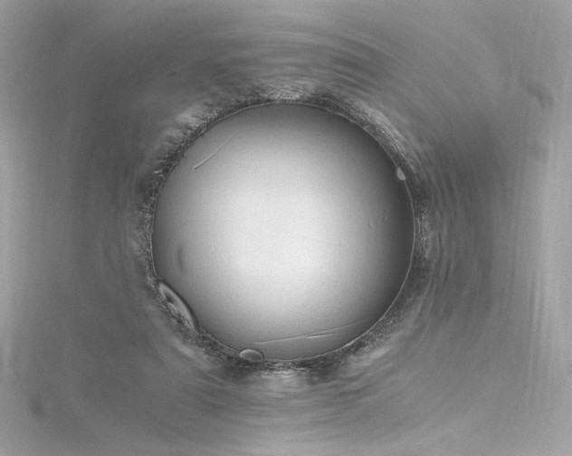 X0000116310307200911301508