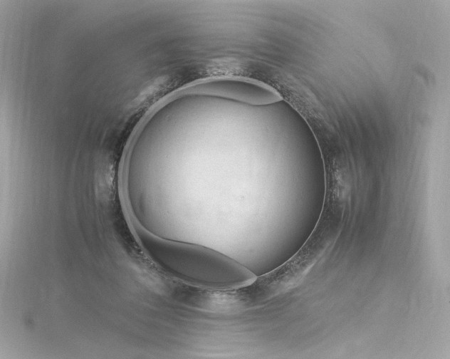 X0000116310308200911301508