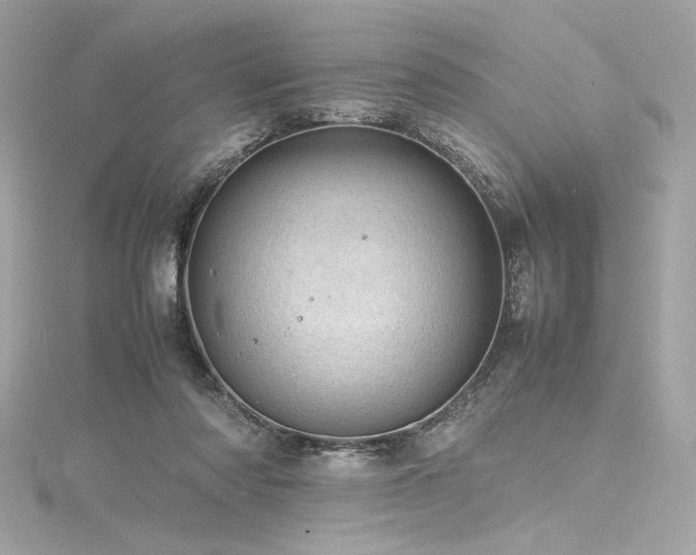 X0000116310310200911301508