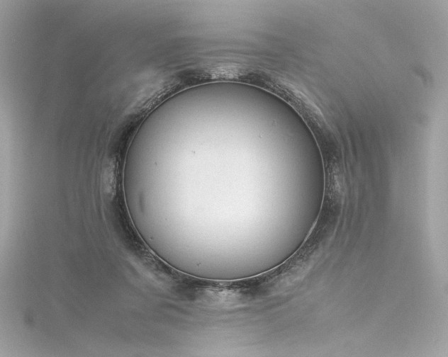 X0000116310311200911301508