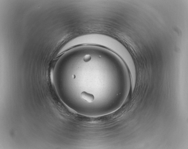 X0000116310312200911301508