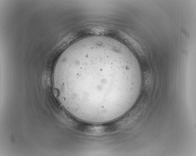 X0000116310313200911301508