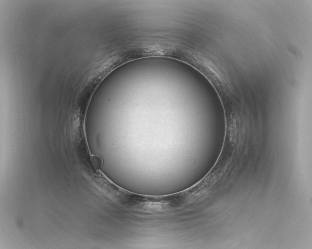 X0000116310314200911301508