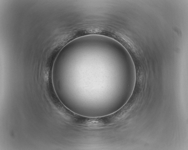 X0000116310315200911301508