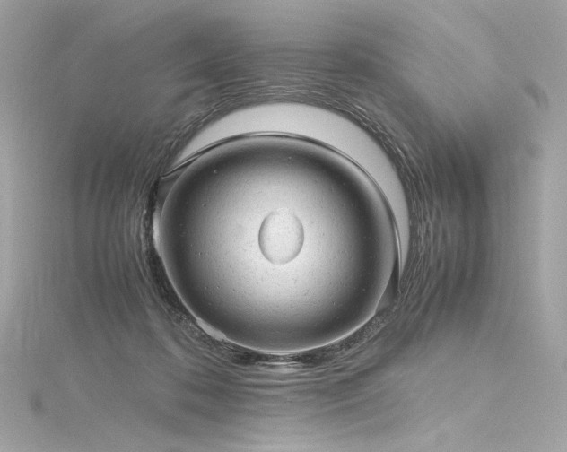 X0000116310316200911301508