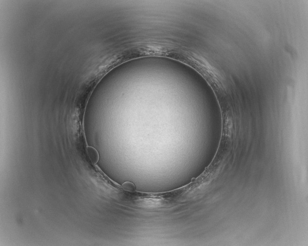 X0000116310318200911301508