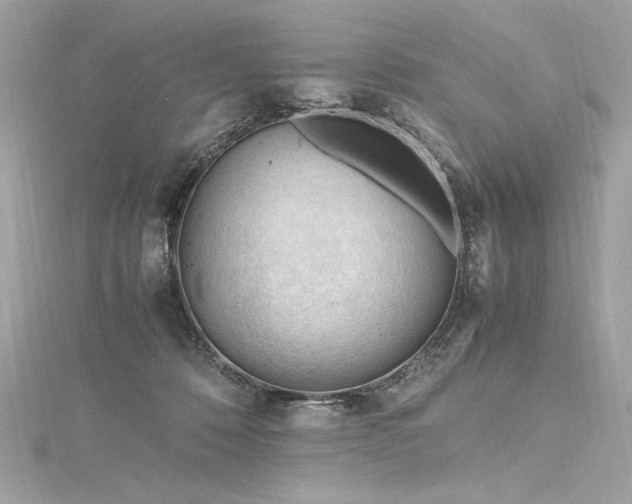 X0000116310320200911301508