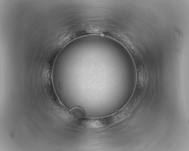 X0000116310322200911301508