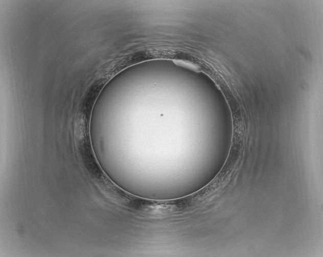 X0000116310323200911301508