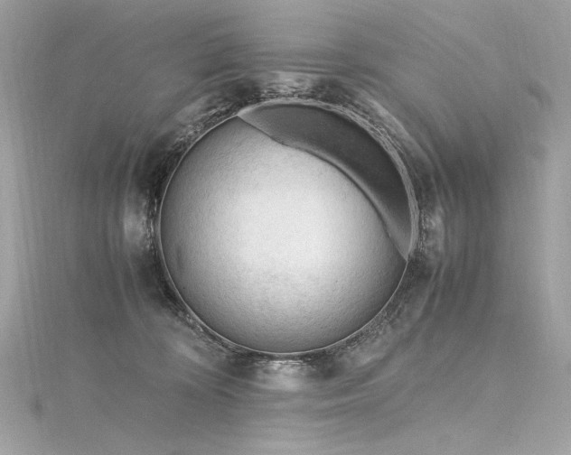 X0000116310324200911301508