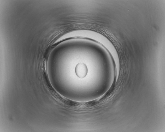 X0000116310325200911301508